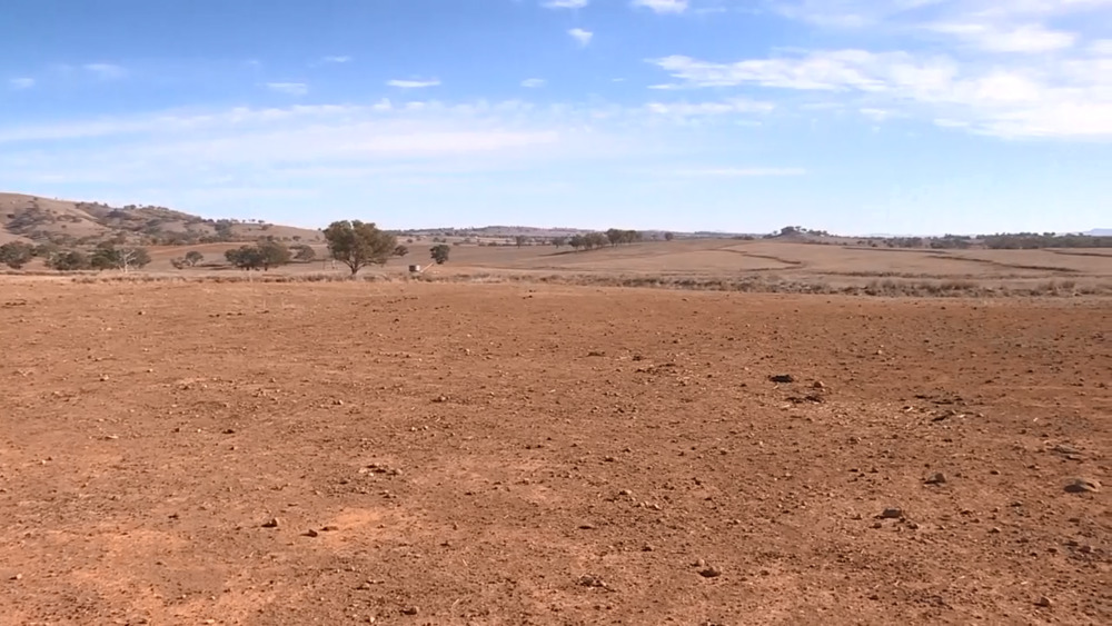 NSW drought